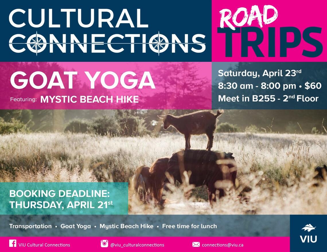 CC Road Trips - Goat Yoga & Mystic Beach