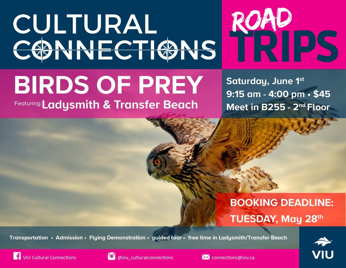 Birds of prey featuring Ladysmith and Transfer Beach